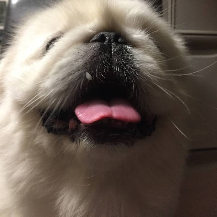 B8f1afb9 37a7 4d81 86c0 6aba9716f932