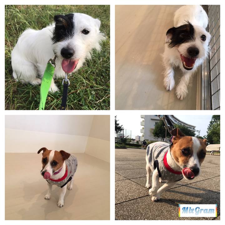 B8f21e6a 386e 4404 82a9 943fd22a07eb