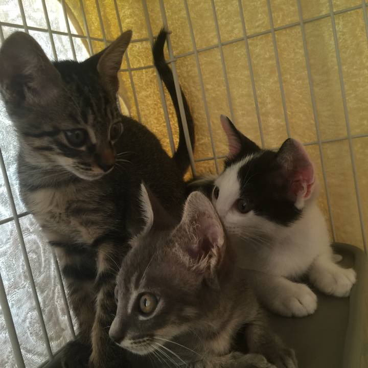 B8f25669 6aaa 4de1 b961 897b2ba82ff6