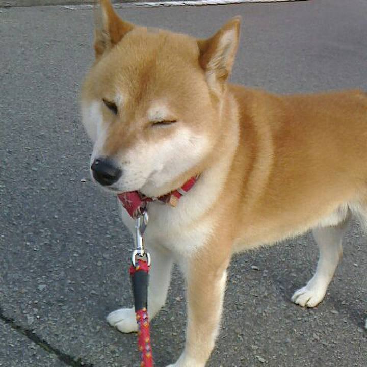 B8f3764f 2d26 4e71 87de fc0b47597124