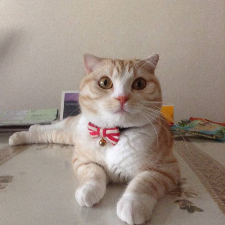 B8f38a5d facb 4933 9a8b cb9fde810d89