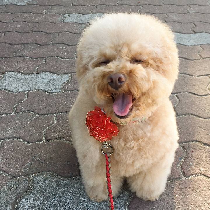 B8f38bee 83ae 4d22 b127 846047cbdae5