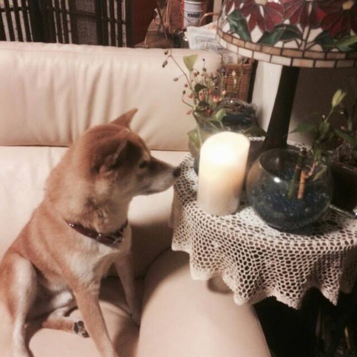 B8f47190 95a4 4787 8aa0 ed24bc10bbab