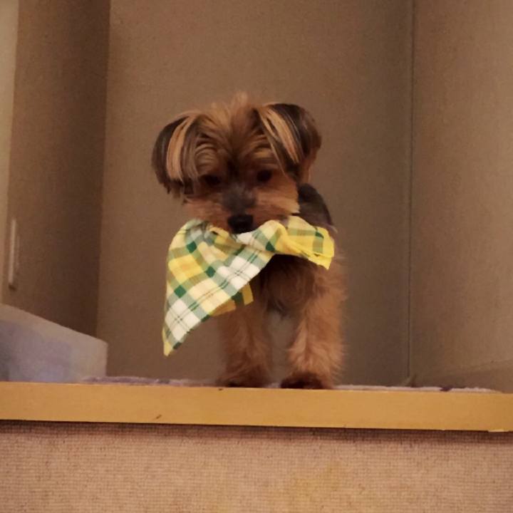 B8f48ed2 e04f 4527 954e bff30ab145a0