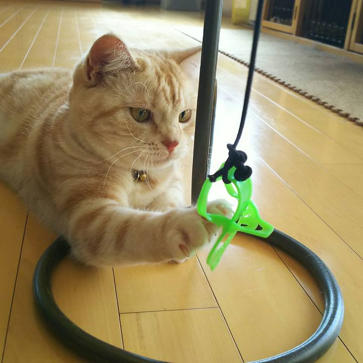 B8f4bce9 81a6 4a16 951b 7a91e6a4aa0e