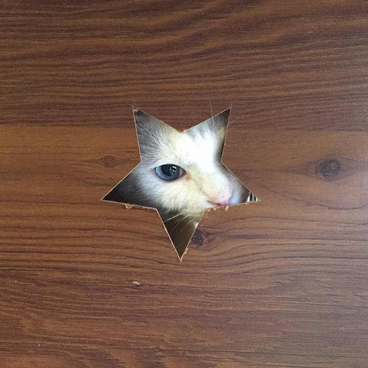 B8f5664d e95c 4370 be40 854e0426b2b5