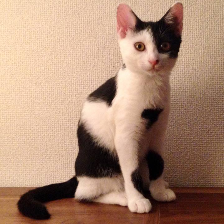 B8f566aa 5f83 4f4f 8592 9344b3955d92