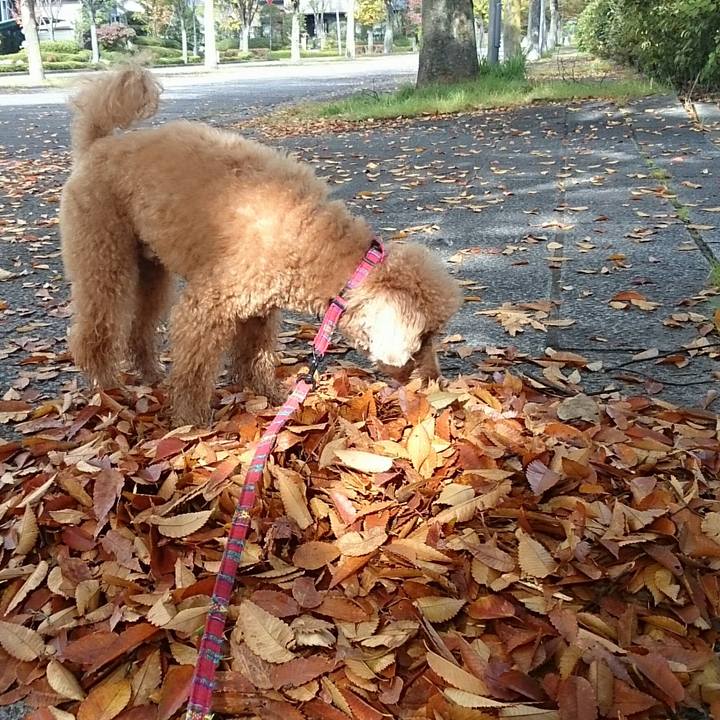 B8f59f61 12a6 4853 b86f 9d1aa087d4f9