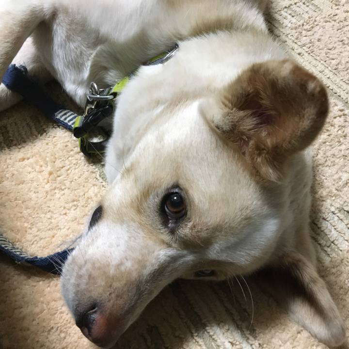 B8f5a0e0 bbca 48af 9e7a 17e5a1f500f5