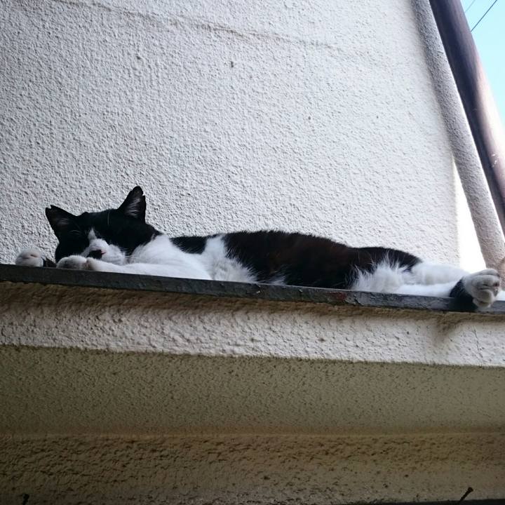 B8f66776 d508 4760 a44a fc601bbfaa8d