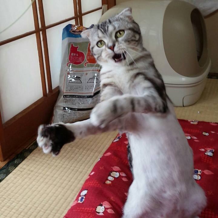 B8f69177 69bb 4650 8142 d22e701e6715