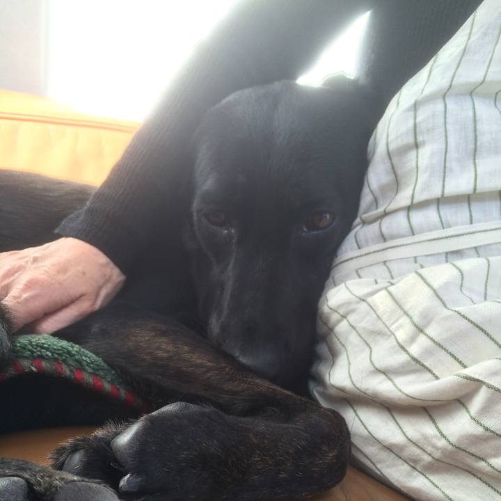 B8f6c9b5 9bcf 4d79 921d 6ce016e56747