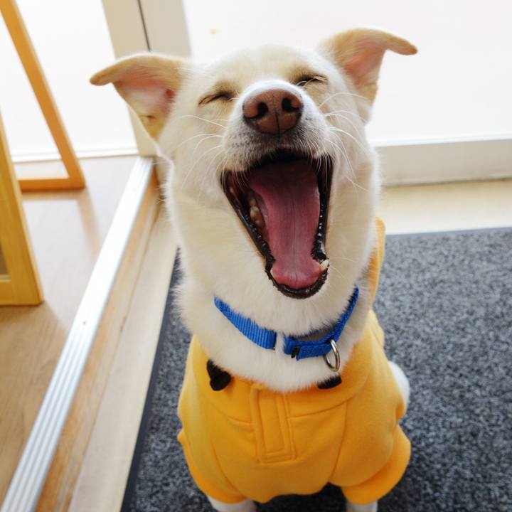 B8f753d9 fc14 46f0 8e4b c41e8cba076a