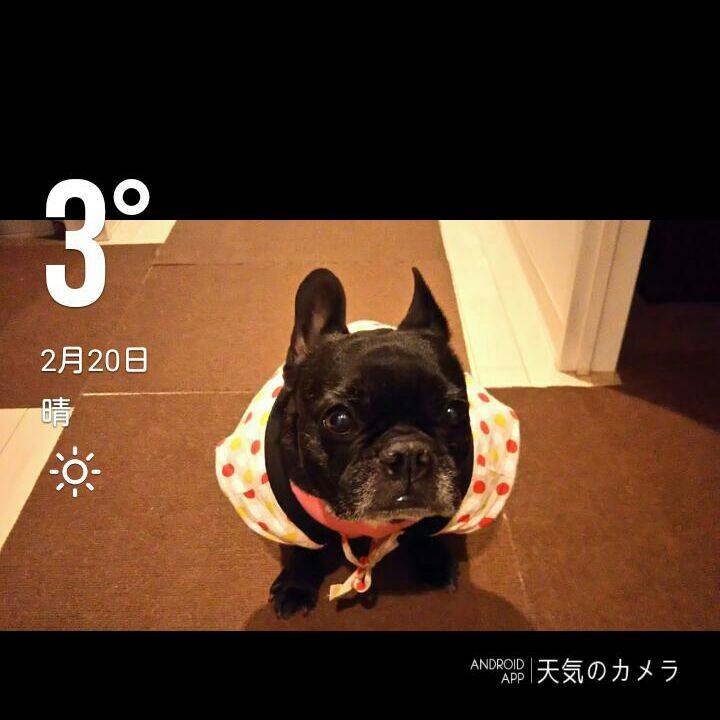 B8f7585a b4a7 4d8e ac8d b76a48404b03