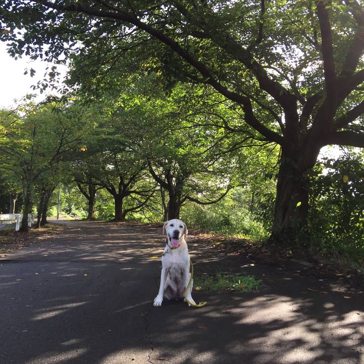 B8f7ee79 7c20 4194 8e92 05ec4708d4fd