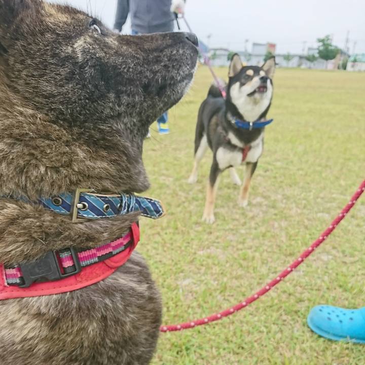 B8f90ad9 f7c4 4a67 9d08 b9e3f7a3aa02