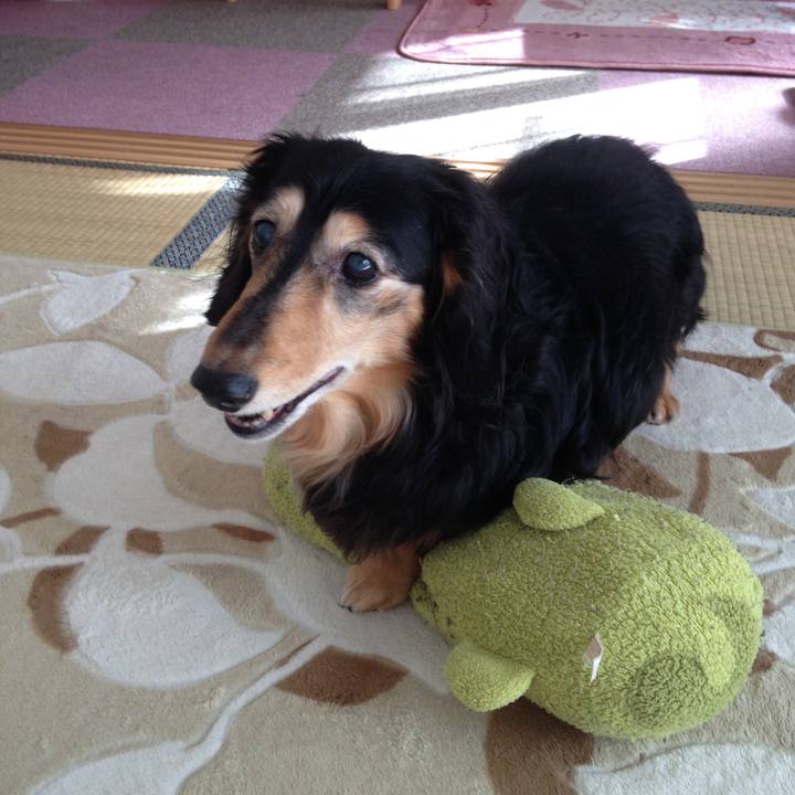 B8f950df 6ea4 4e7c 9cb3 e853f6b3c15e