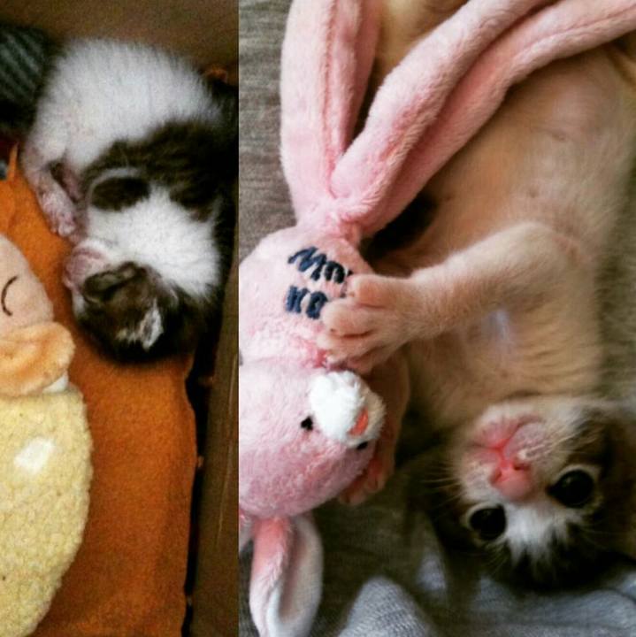 B8f976dc 1aaf 478c b9af 35925776d922