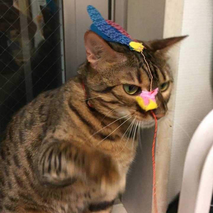 B8f9a405 20c0 4230 a683 48efe099e9b8