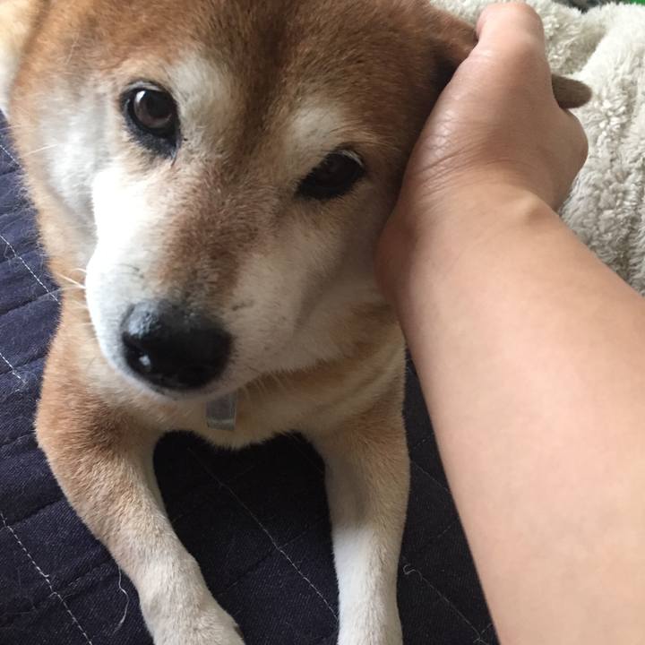 B8fa19cf bda6 47e3 99b3 031c9ca43bad