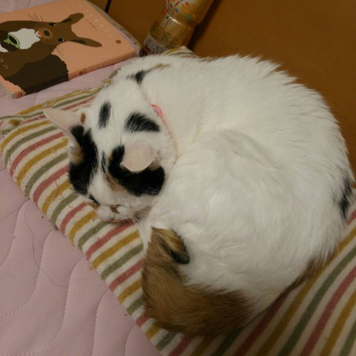 B8faa6fd ed5b 46bf 8a91 afe529b30867