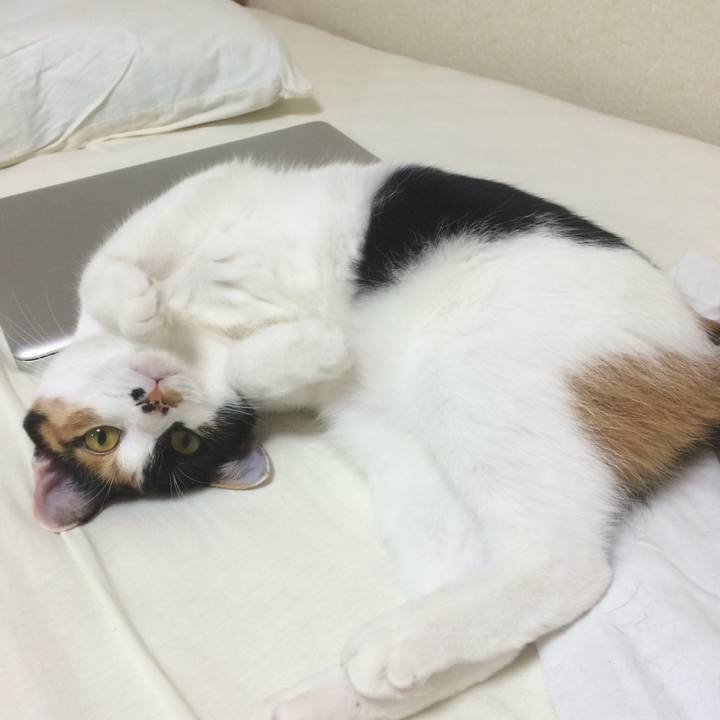 B8fad21f de4e 4639 9197 ed3ca51f351a