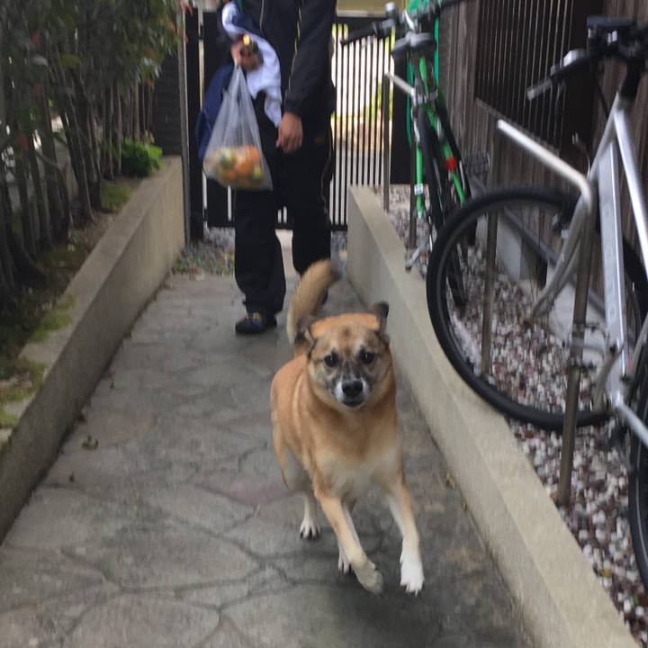 B8fce60f b04b 4ef9 a637 d8e6d6d1b67b