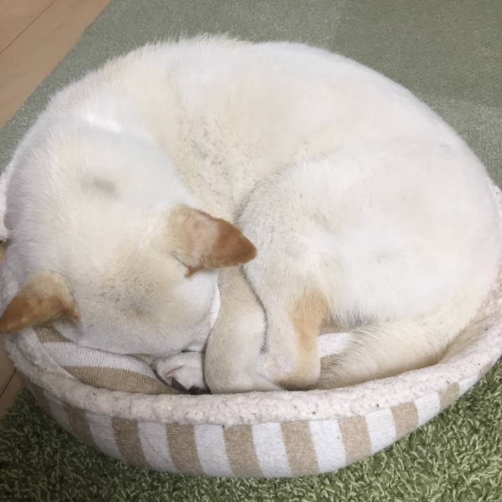 B8fd1183 91bd 428e b4bb 1f266fd5ca7e