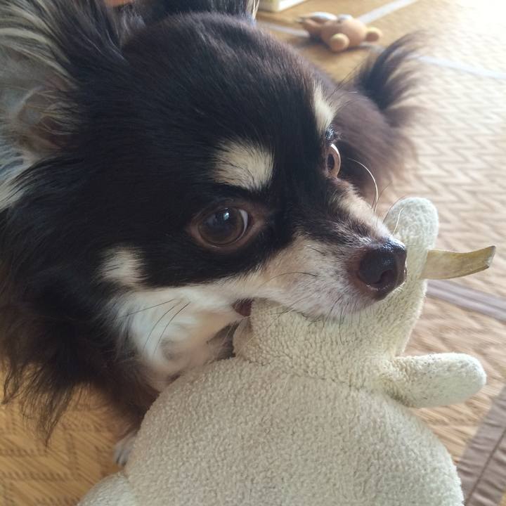 B8fd339f ae79 465c 95fb c2df8ed6e11e