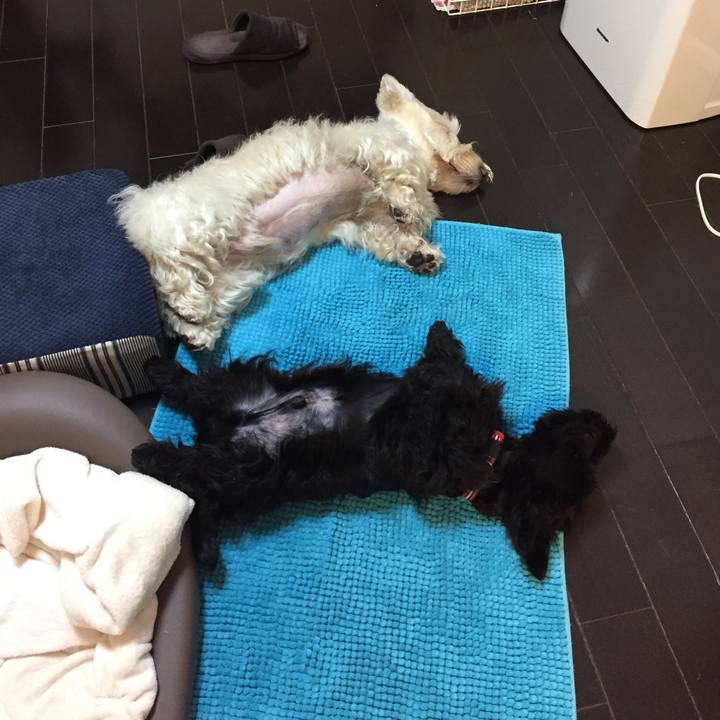 B8fd3f27 e225 49b9 bbf3 706c4aaca610