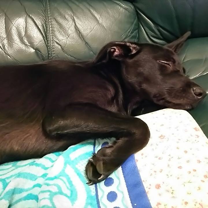 B8fd513d d9b2 4a24 a6db a92fe7416d38