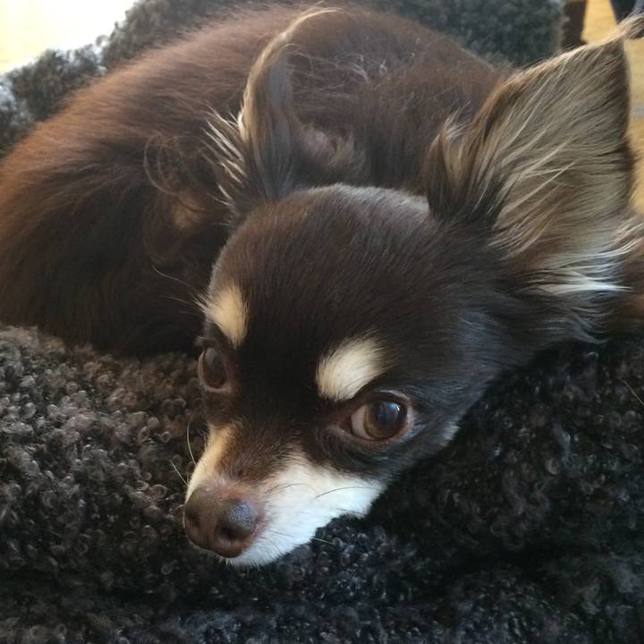 B8fdaa53 4844 4536 a355 bd38d7a98865