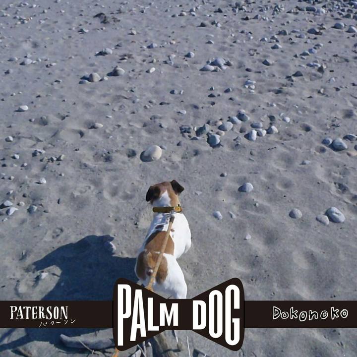 B8fe2cf8 4e53 4afe a1dd 25b5e42838db