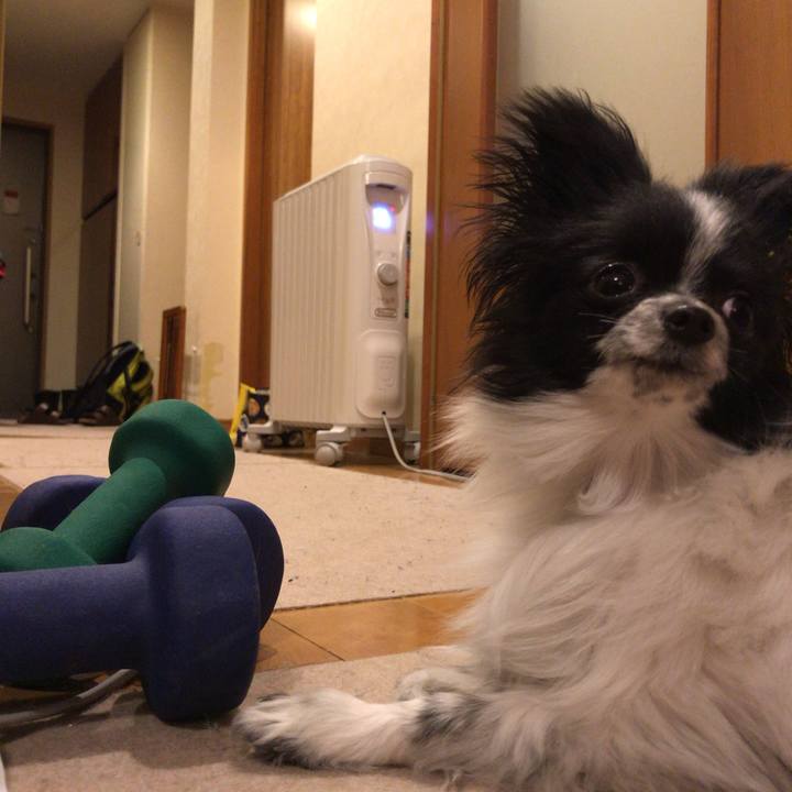 B8fe9335 879d 41fb ac09 e5a8f15fa0d4