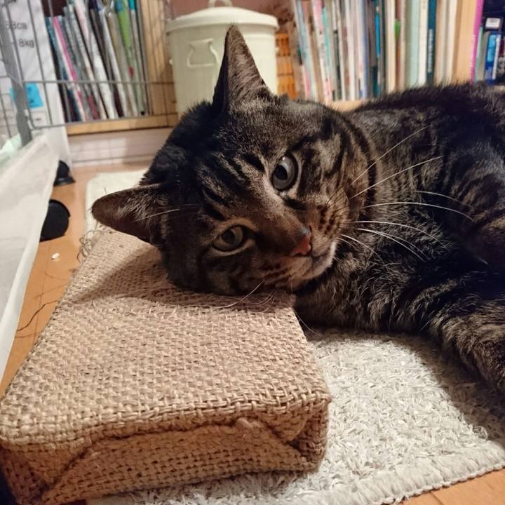 B8fe9bac 68db 4024 b718 088fa9d9b4f0