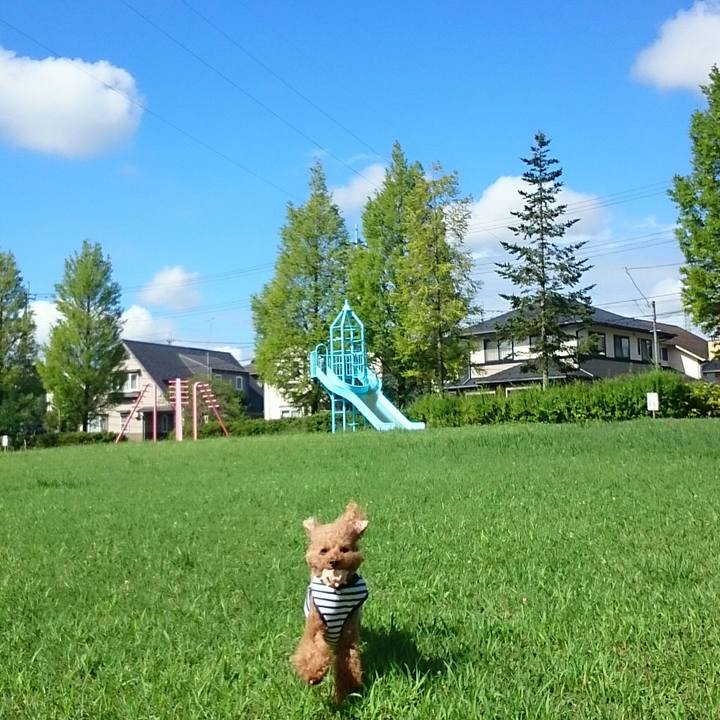 B8fef53c 9660 4191 8cf8 d92e7f3157c1