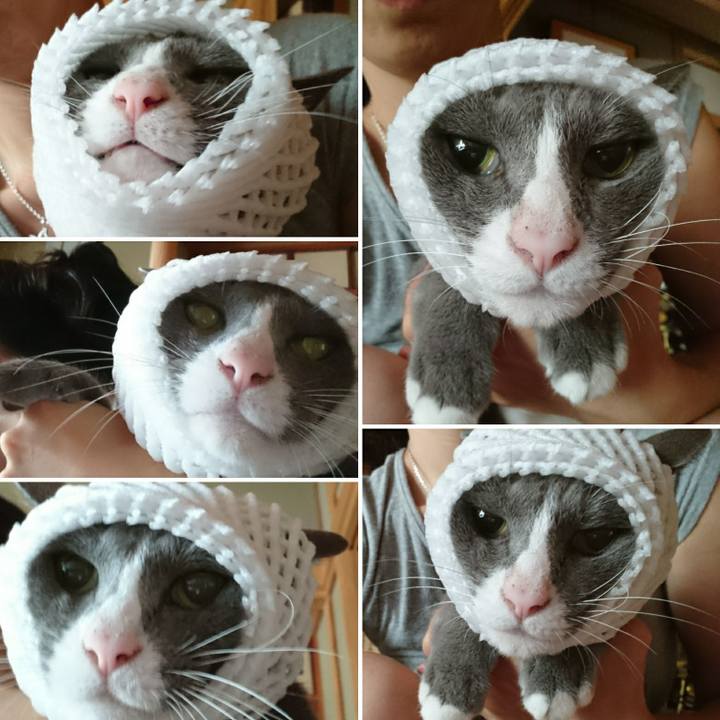 B8ff155e 4848 4f7a abe2 dfc23e4749b6