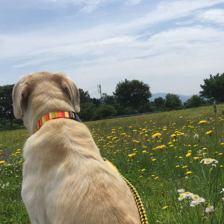 B8ff4973 5956 43f5 8c6c ed35efbd8bb8