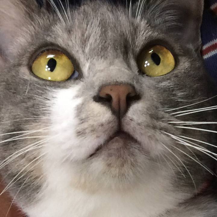 B8ffb7c5 b1ae 4b0b 8e61 183551242cd1