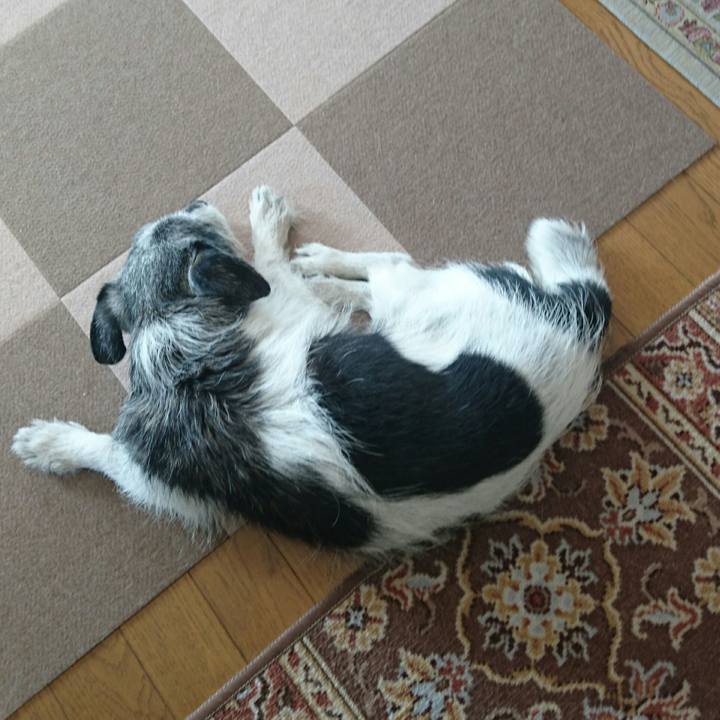 B8ffcafb ed75 40e4 8744 2768d4f3a340