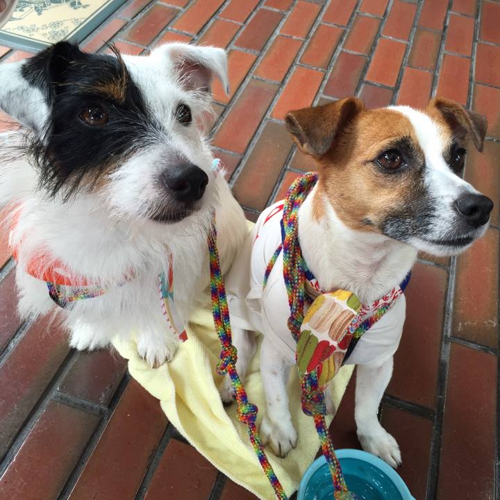 B9009f31 5105 4b34 b386 9c4c2d116031