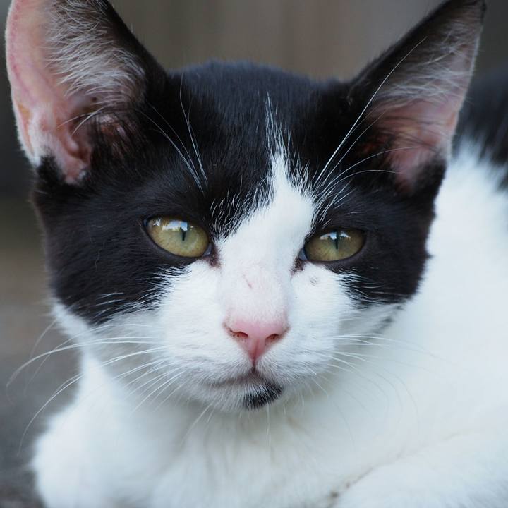 B902a7a4 35e9 4ed6 be80 7cd5b0161643