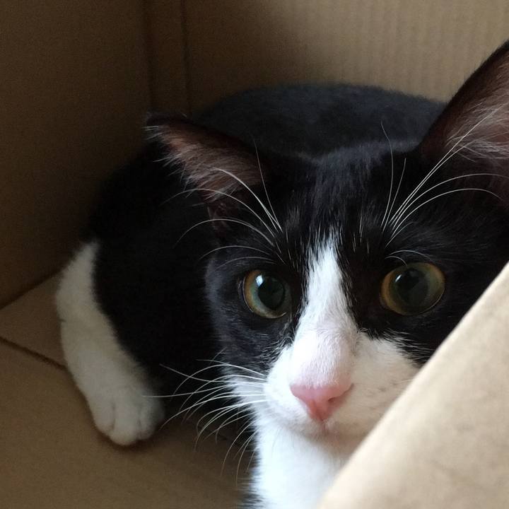 B902e796 9b39 4ce8 8648 56c517bac6e8