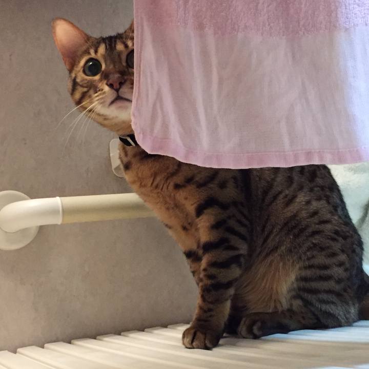 B903d813 0b27 401f b255 76531afb701e