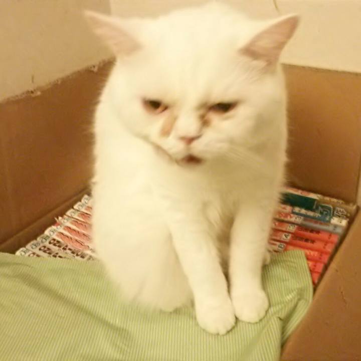 B9042712 3973 4577 ae8e cb67eeb45d4a