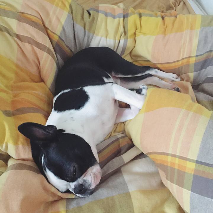 B9045577 f65f 4642 b259 63f1d82e61b8