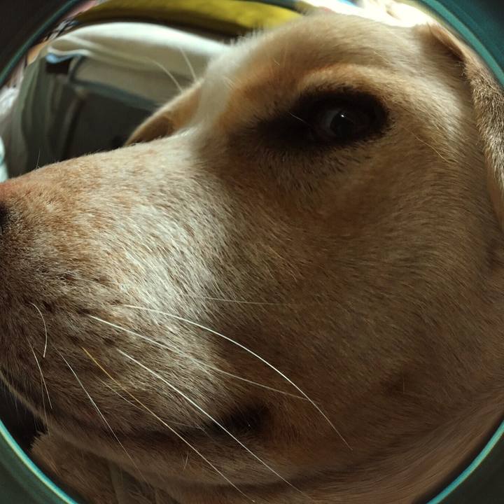 B905e4da 9d96 43ce 87c1 672df5882566