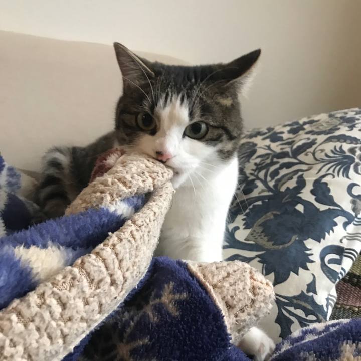 B9062c55 e1b9 4523 b2ca 198a55aacd12