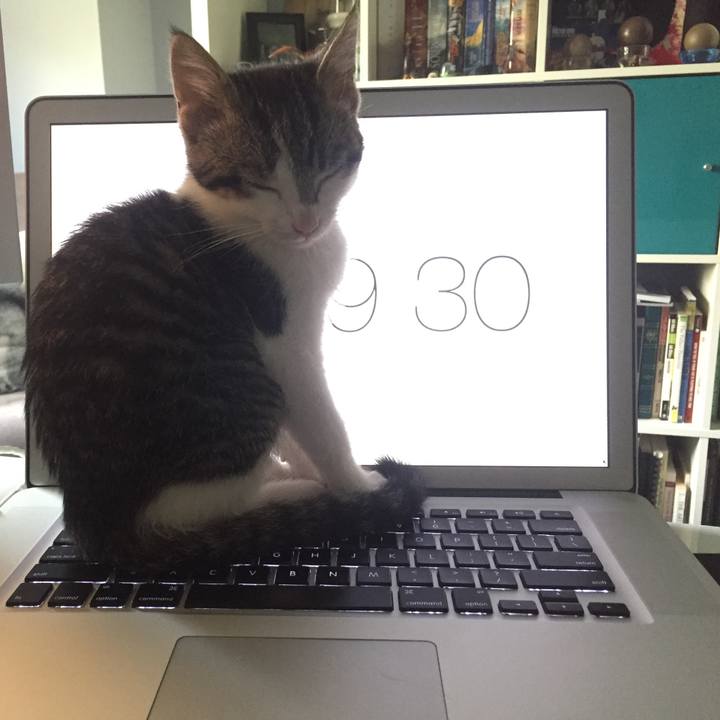 B906ca17 aff6 454c b29e a78274d8ef57