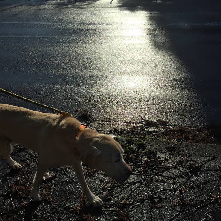 B9075342 028b 4d2e a94e 7f2a9f9b56b1